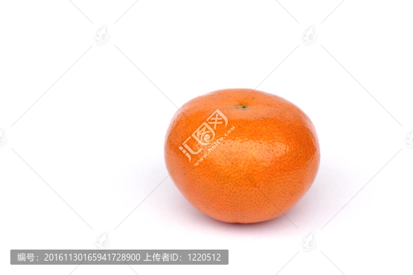 新鮮的小孤立在白色背景