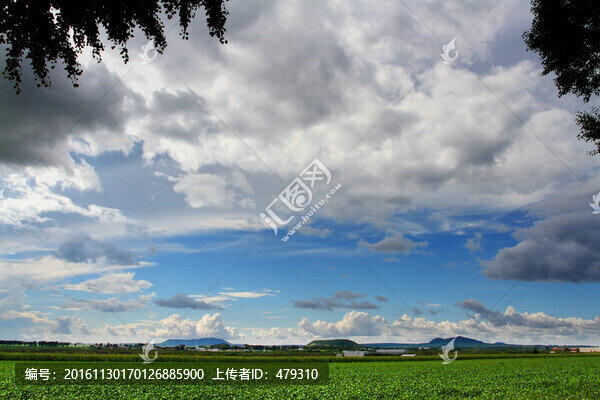 北大荒,黃豆,大田,TIF格式