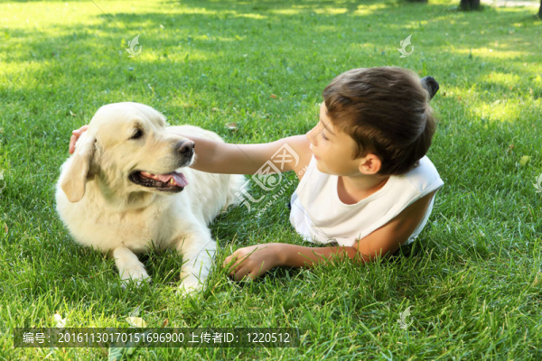 一只狗在公園里青少年男孩