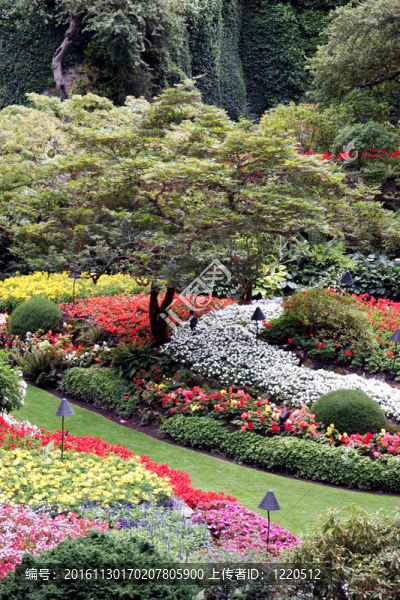迷人的花卉展示在寶翠花園