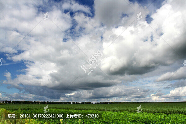 北大荒,黃豆,大田,TIF格式