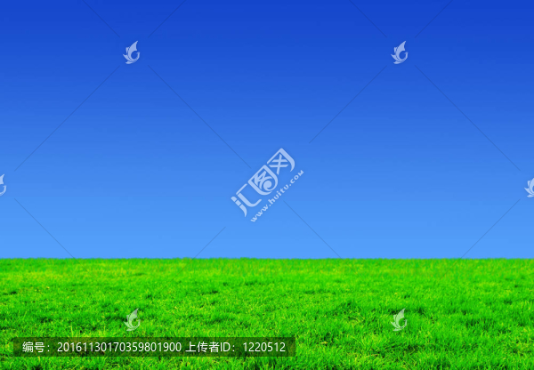 綠色的鵝肝和天空