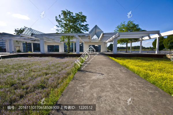 記憶中的花園