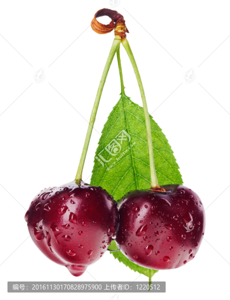 一對(duì)紅濕櫻桃果實(shí)，莖上有綠色的葉子，白色