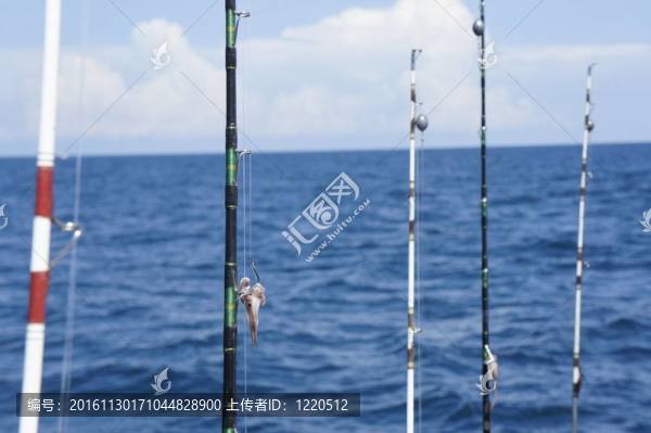 釣魚(yú)竿