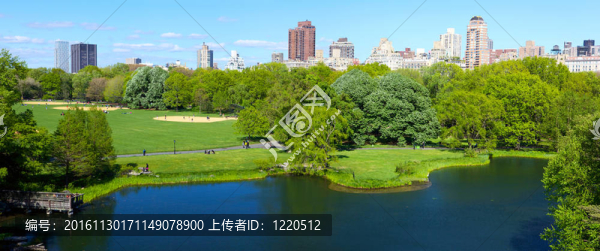 中央公園