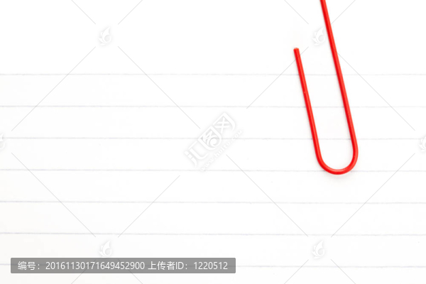 用紅色回形針白皮書