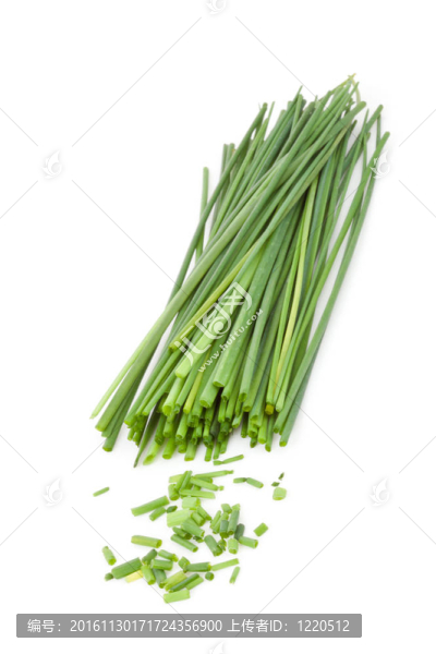 新鮮是韭菜