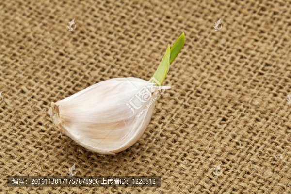 發(fā)芽的大蒜