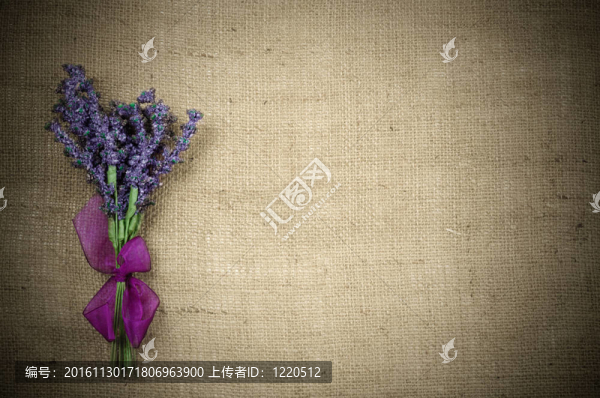 薰衣草花束