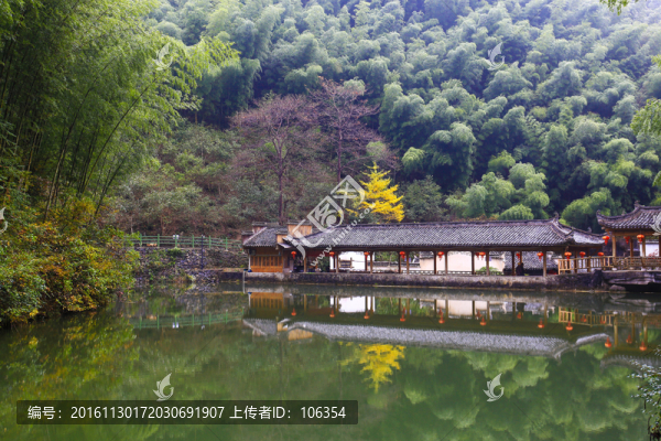 竹林