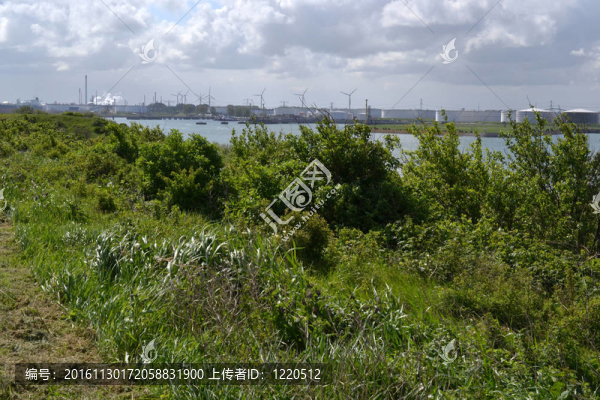 在羅曾堡海岬。