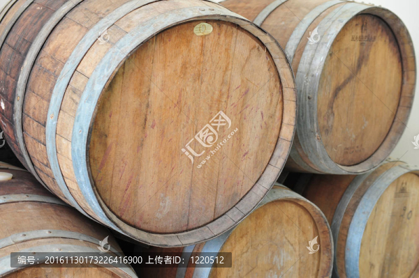 食物和烹飪-葡萄酒和葡萄