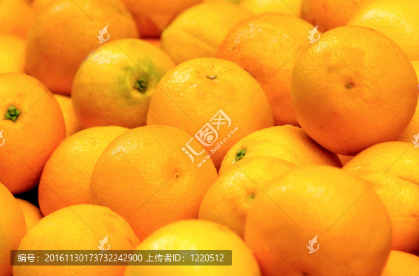 食物和烹飪-水果