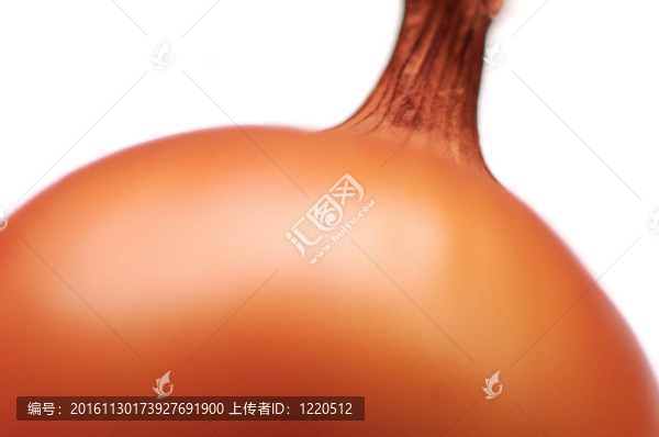 食品蔬菜
