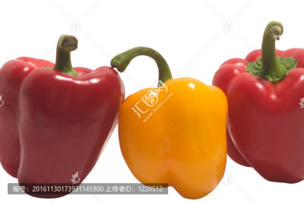 食品蔬菜