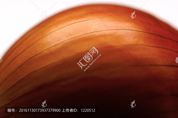食品蔬菜