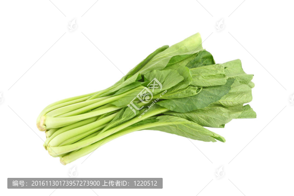 白背景的中國(guó)芥菜綠色蔬菜。