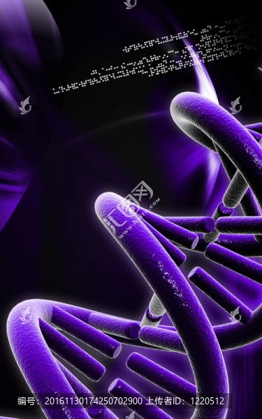 DNA