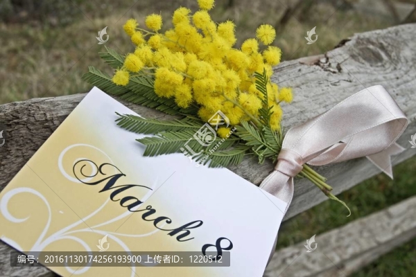 含羞草