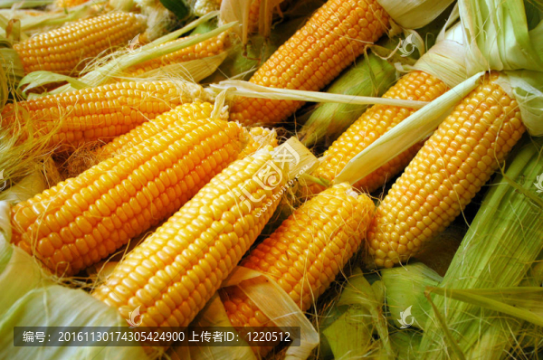食品蔬菜