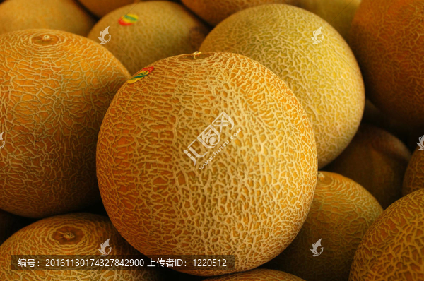 食物和烹飪-水果