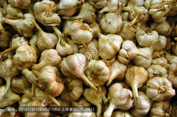 食品蔬菜