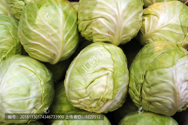 食品蔬菜
