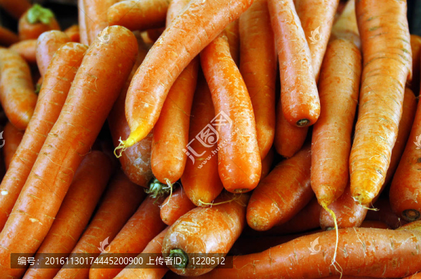 食品蔬菜