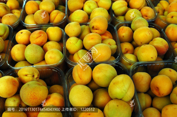 食物和烹飪-水果