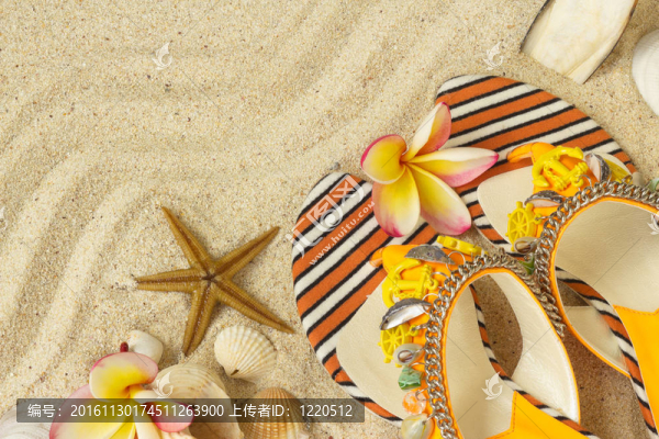 涼鞋；貝殼；砂海星和雞蛋花