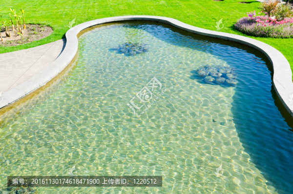 公園水池