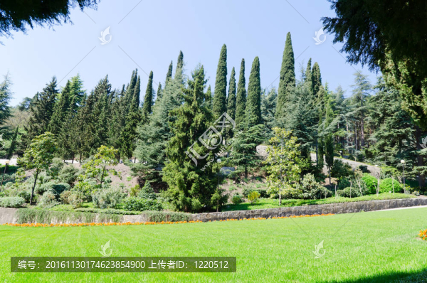 有樹(shù)和草的綠色公園