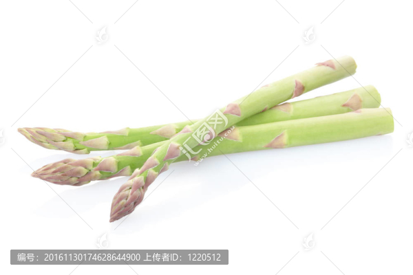 蘆筍