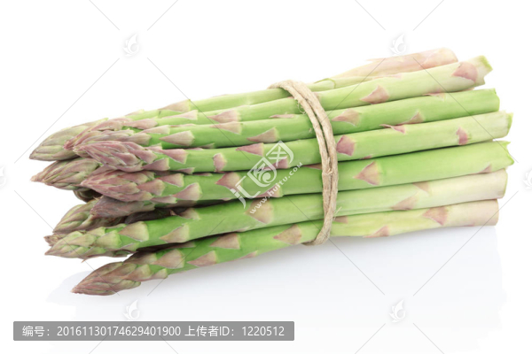 白蘆筍