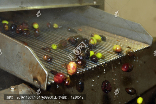 水果食品