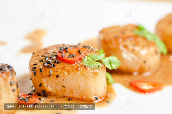 扇貝