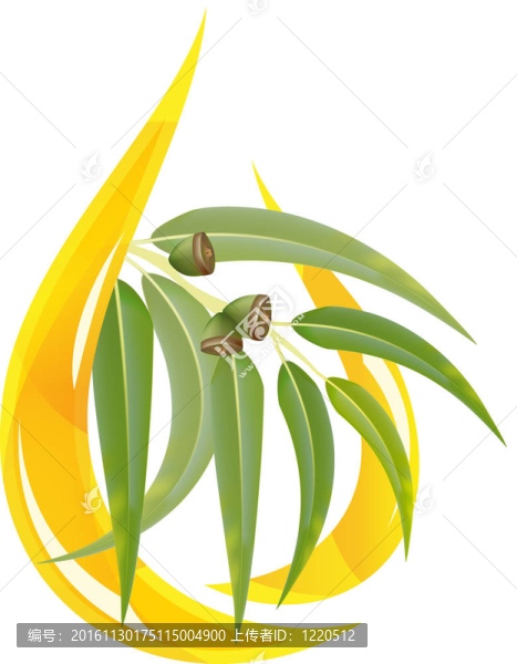 桉樹(shù)精油