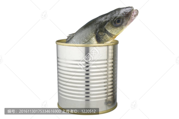 鋁可與新鮮魚
