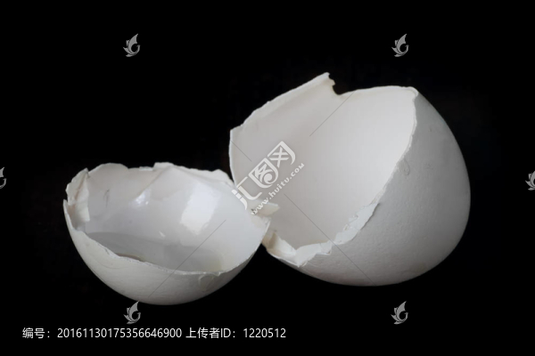 雞蛋殼
