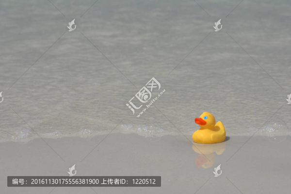 沖浪剖面橡膠鴨