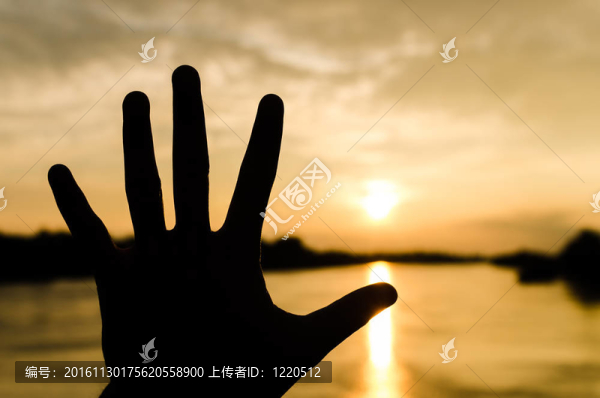 剪影的手