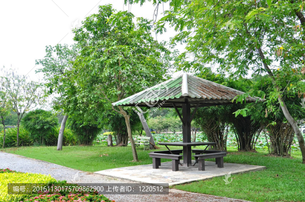 公園里的亭