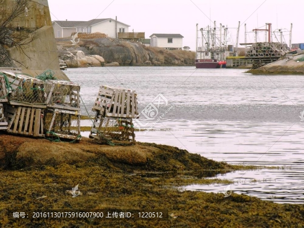 龍蝦陷阱