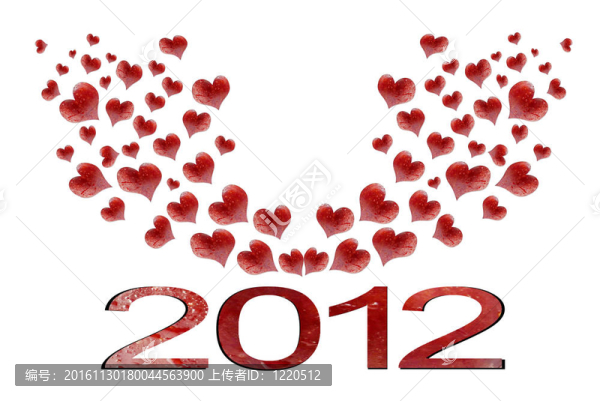 新的一年2012