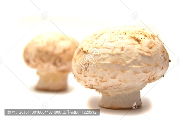 兩鮮香菇