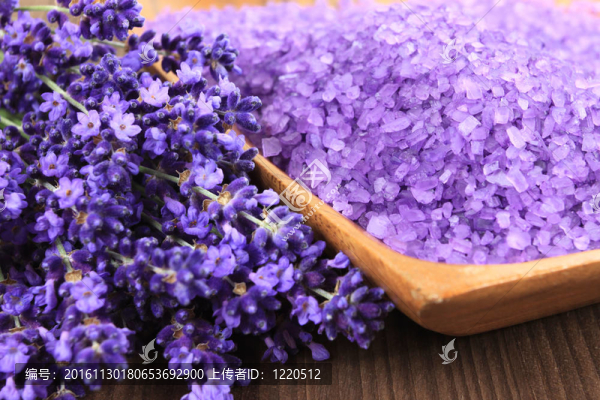 薰衣草SPA