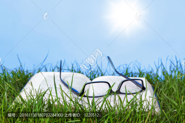 陽光燦爛的戶外開著書和眼鏡