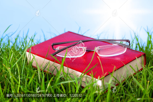 帶眼鏡草的紅書。