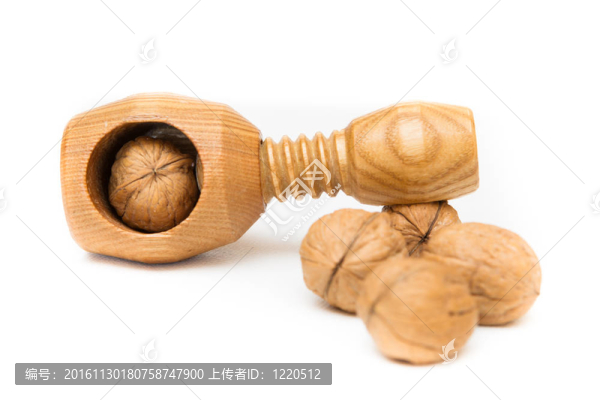 胡桃和核桃